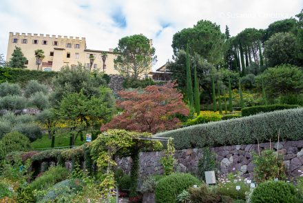 Die Gärten von Schloss Trauttmansdorff: Blick auf das Schloss und den Garten mit Pergola, Mittelmeerzypressen und weiteren Bäumen