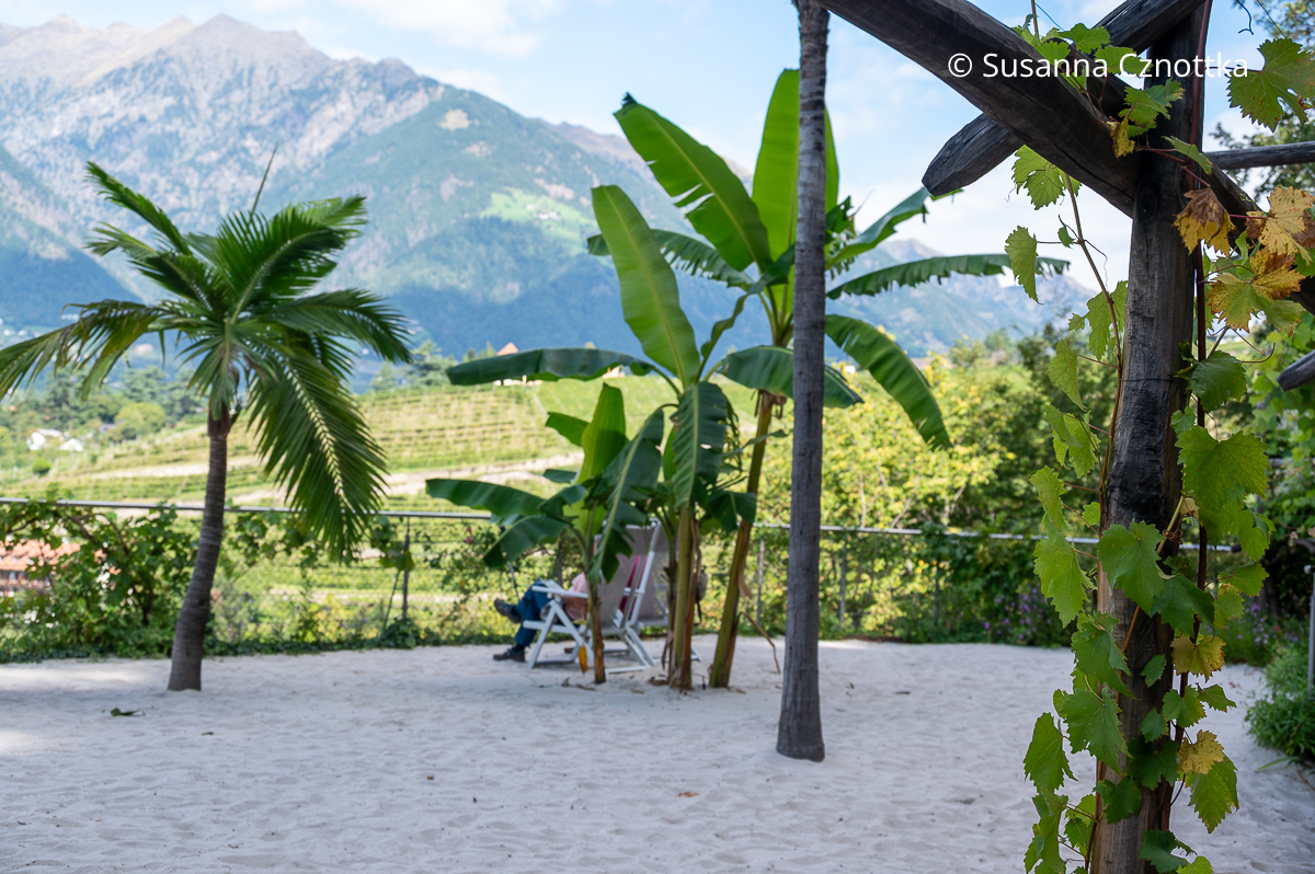 Ein künstlicher Sandstrand mit Palmen und Blick auf die Berge