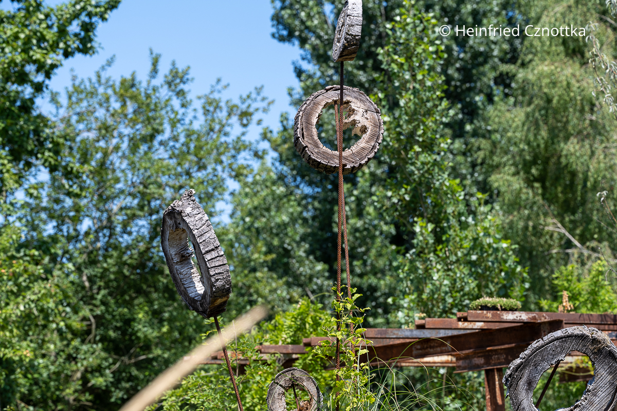 Gartendekoration: Baumscheiben, die auf Armierungseisen über dem Garten schweben Gartendekoration: Baumscheiben, die auf Armierungseisen über dem Garten schweben