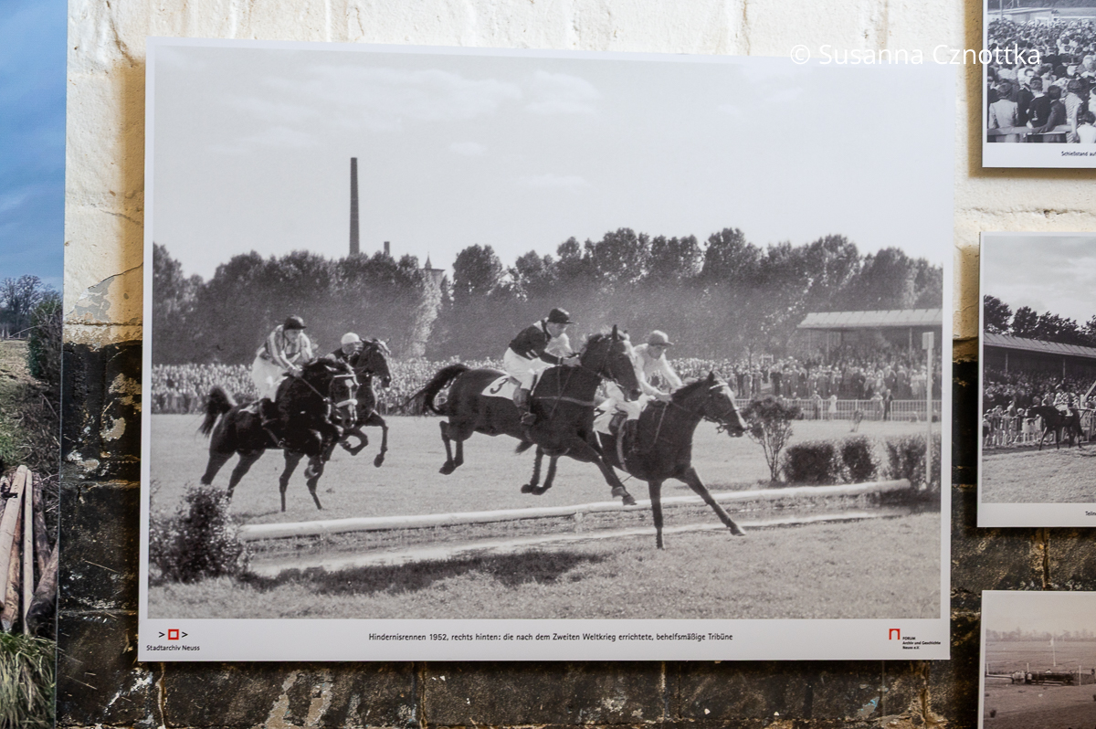 Ein Foto von einem Hindernisrennen 1952 Vier Reiter, überspringen mit ihren Pferden ein Hindernis