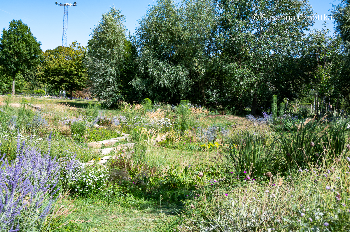 Weiden rahmen den Weidengarten auf der Landesgartenschau Neuss Weiden rahmen den Weidengarten auf der Landesgartenschau Neuss