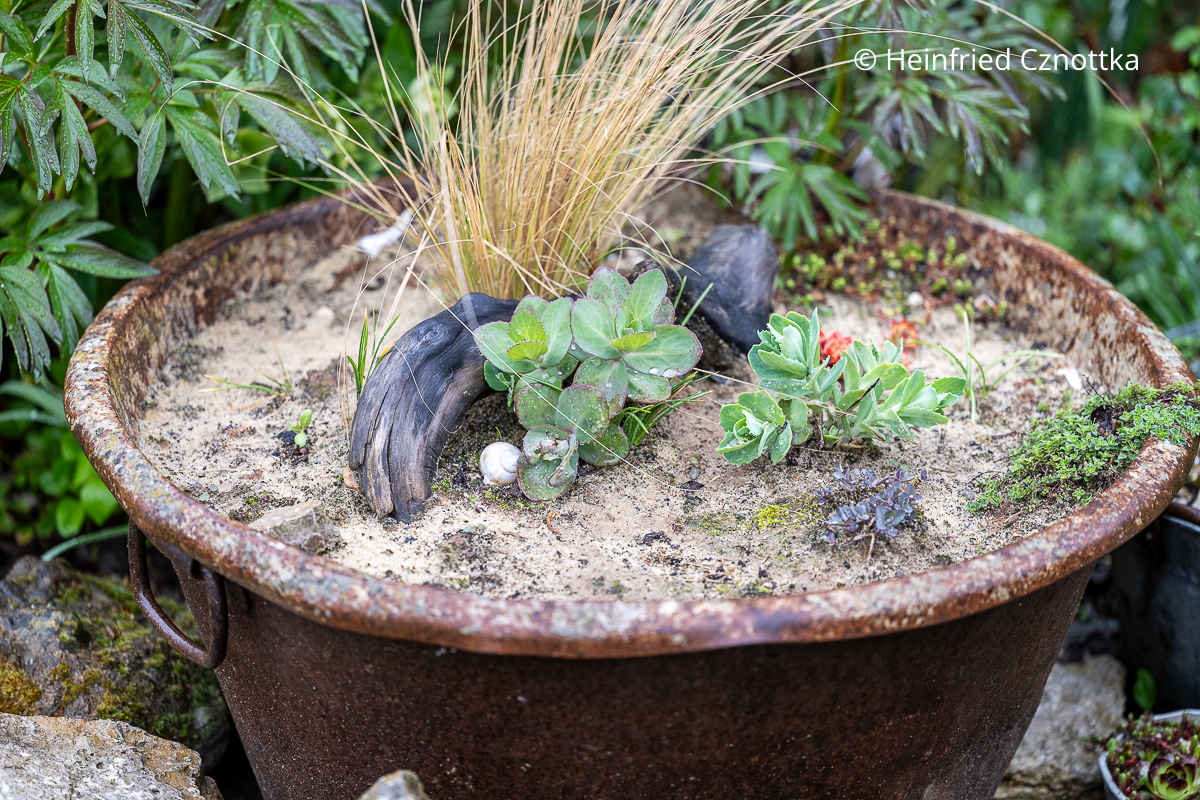Naturnaher Garten: ein großer Metallbottich mit einem Sand-Lehm-Gemisch als Sandarium