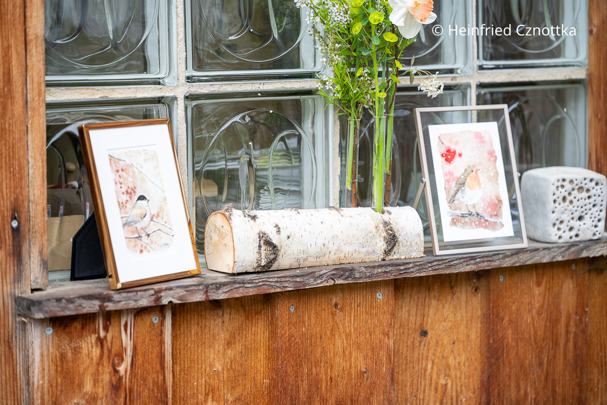 Zeichnungen von Mönchsgrasmücke und Rotkehlchen von Jenny Adam