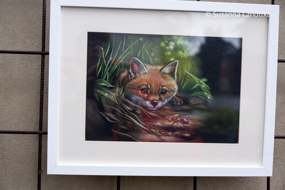 Zeichnung eines kleinen Fuchses von Jenny Adam