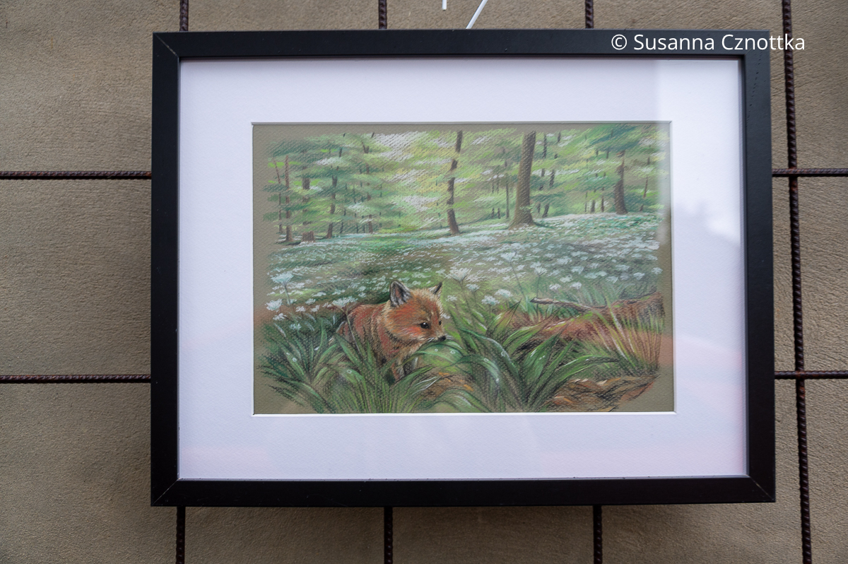 Illustration von Jenny Adam: ein kleiner Fuchs auf einer Waldlichtung