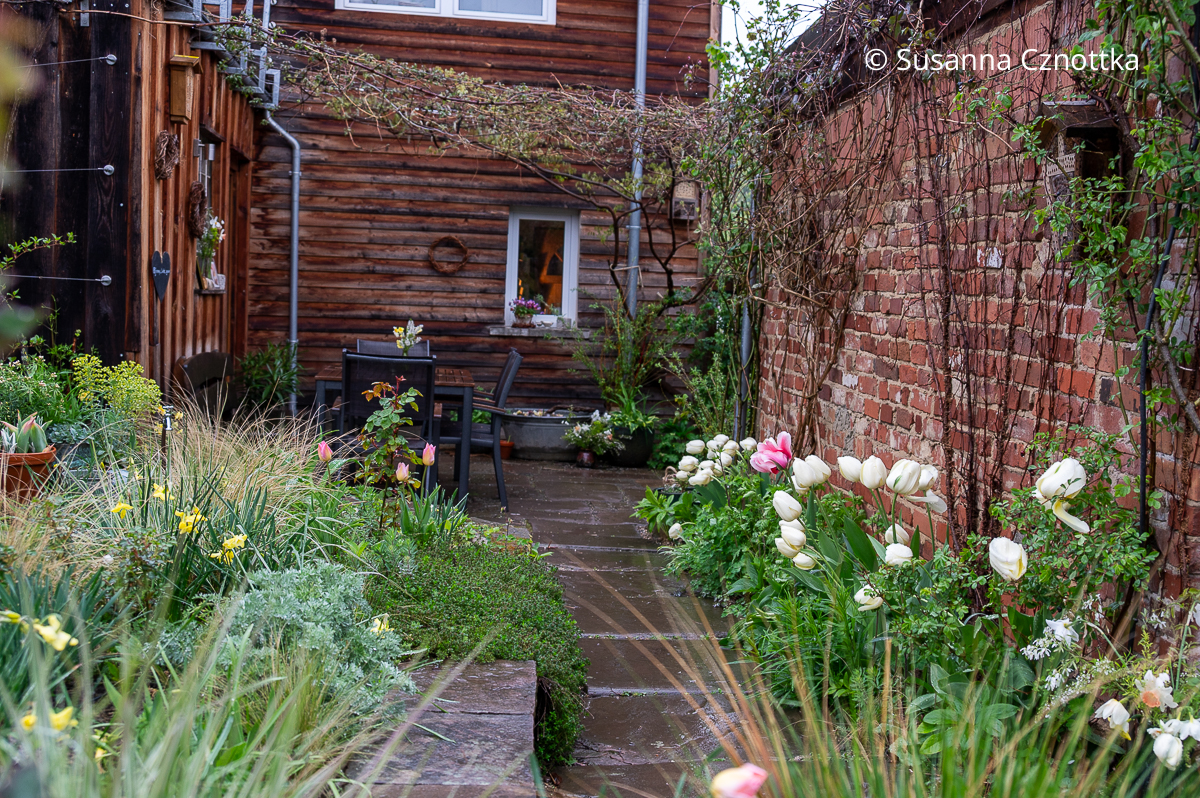 Sitzplatz mit einem "Dach" aus Weinranken
