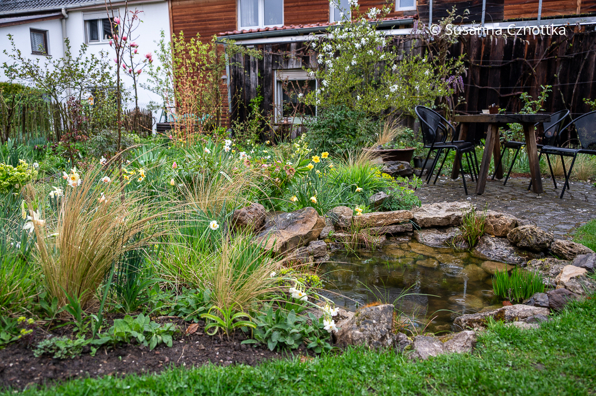 Kleiner Gartenteich mit einer Einfassung aus Natursteinen