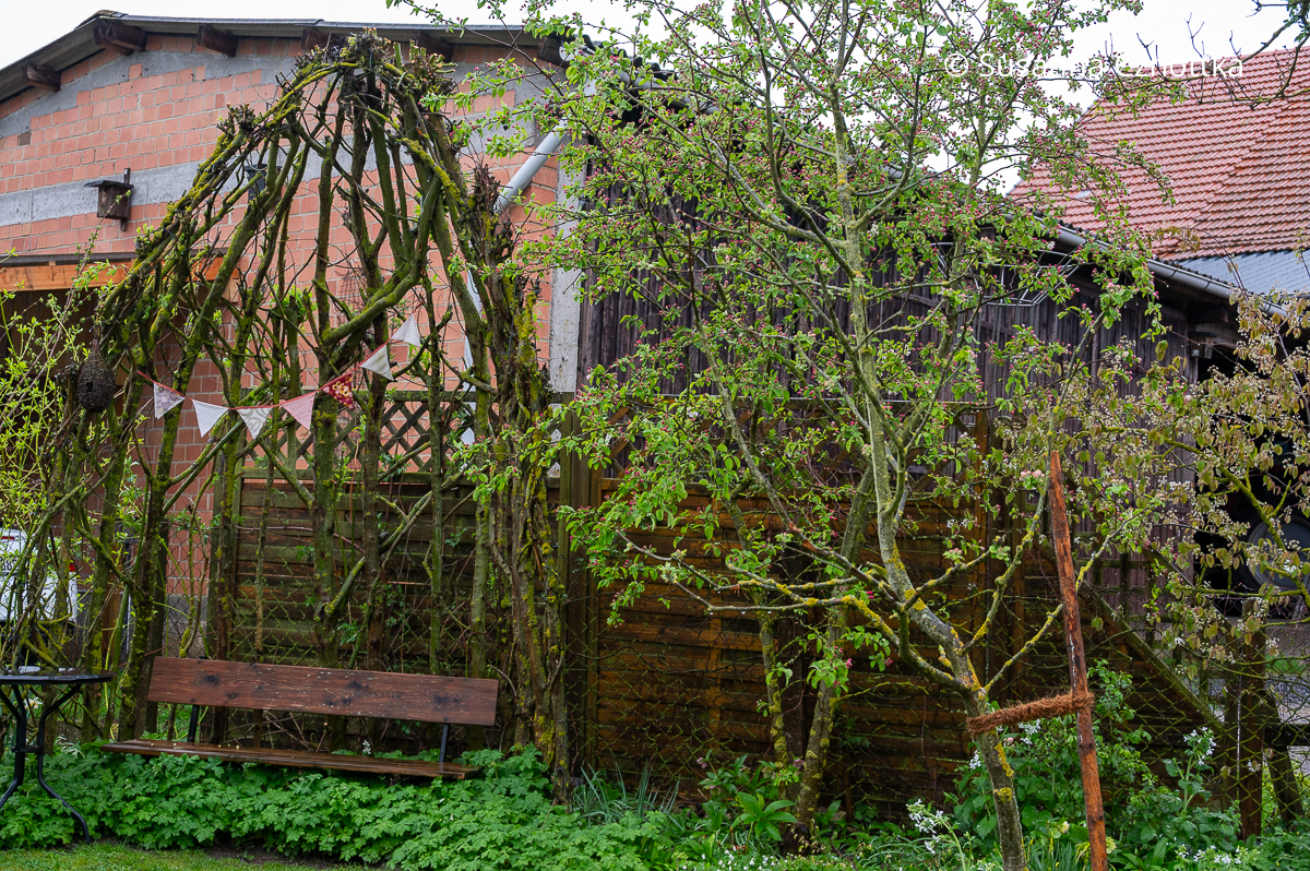 Sitzplatz im Garten: eine Bank unter einer Kuppel aus Weidenästen