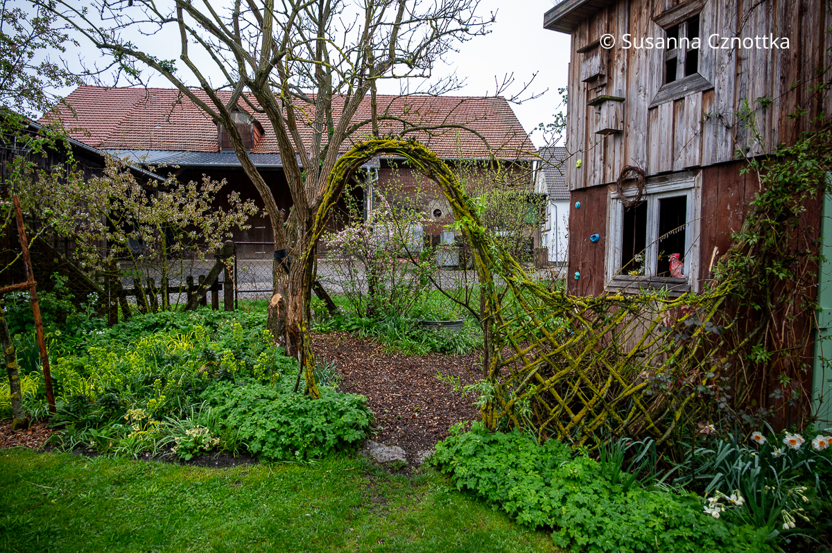 Gartenräume gestalten: ein Raumteiler mit Tor aus Weidenruten