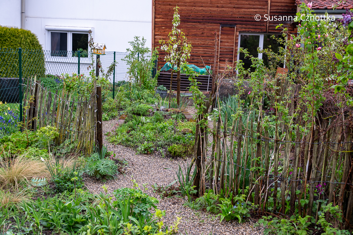 Gartenraum mit Kompost, Gemüse und Beerensträuchern