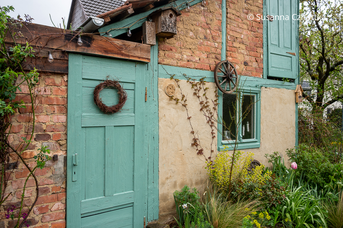 Blickfang im Garten: ein alter Schuppen mit türkis gestrichenen Türen und Balken