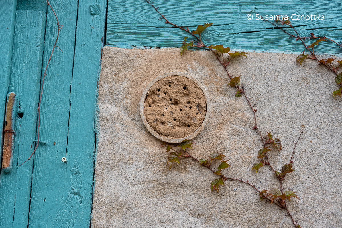 Ein mit Lehm gefülltes Rohr als Nisthilfe für Wildbienen