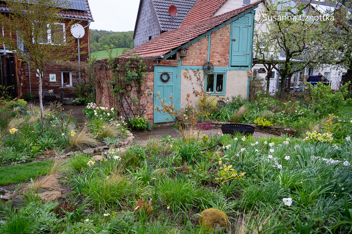 Beete und ein alter Schuppen im Garten von Jenny Adam