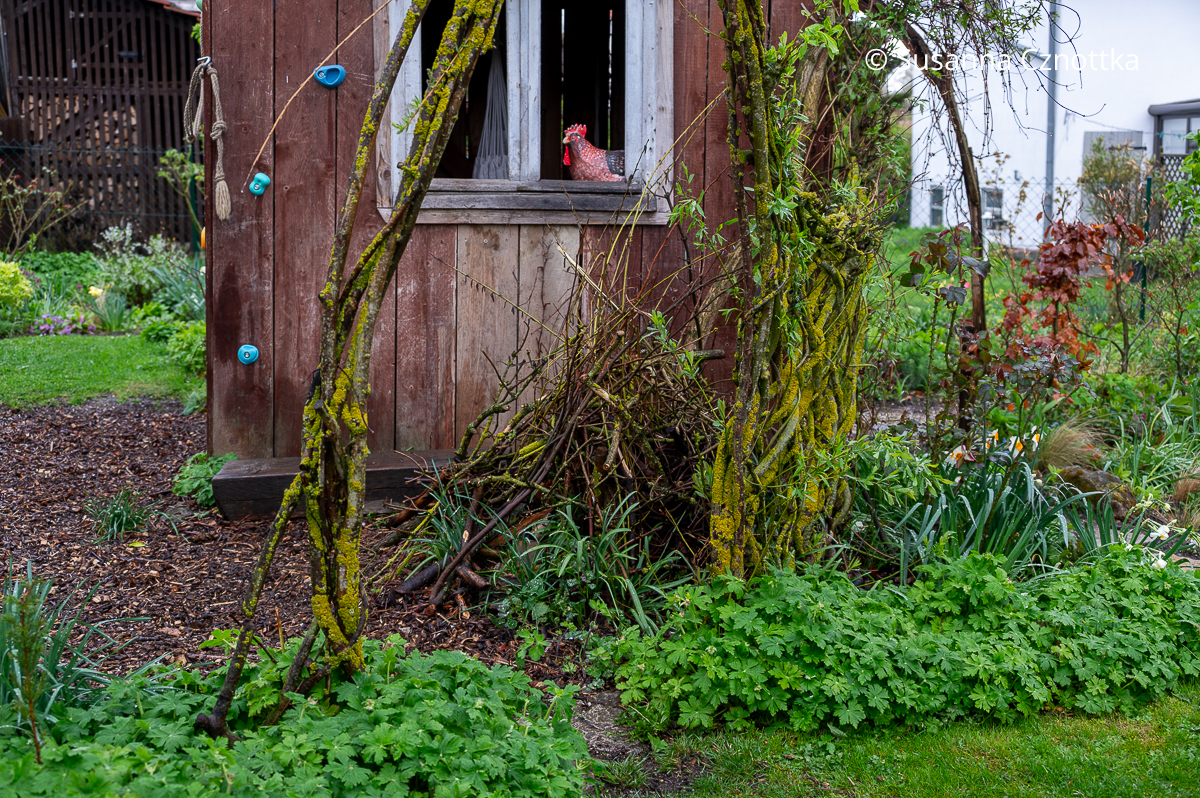 Ein Käferkeller mit einem Haufen aus Ästen obenauf vor einem Gartenhäuschen