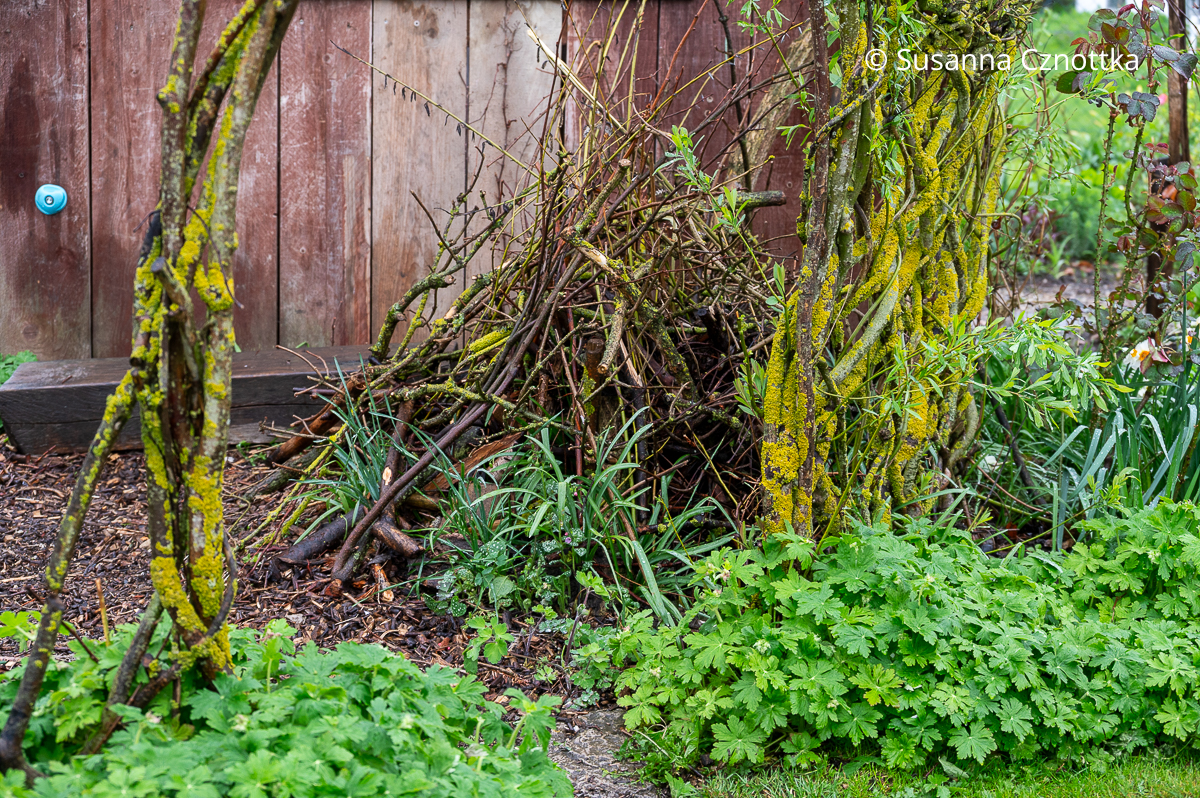 Ein Käferkeller mit einem Haufen aus Ästen