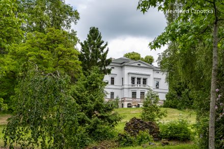 Die Villa im Park Hohenrode in Nordhausen/Südharz