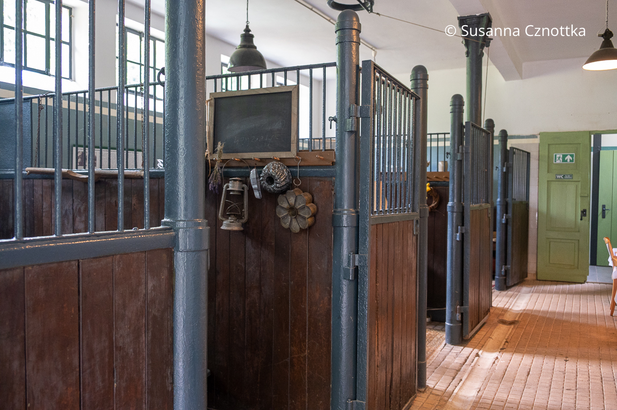 Die ehemaligen Pferdeboxen im Kutscherhaus im Park Hohenrode in Nordhausen