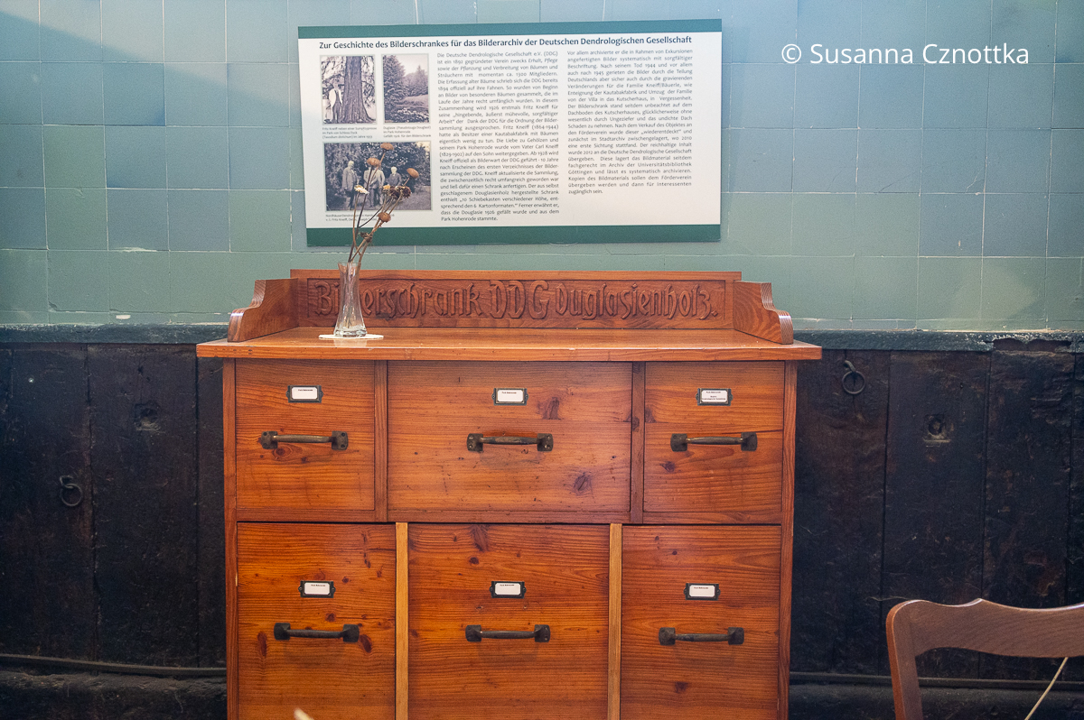 Historischer Bücherschrank der Deutschen Dendrologischen Gesellschaft e.V. im Park Hohenrode in Nordhausen 