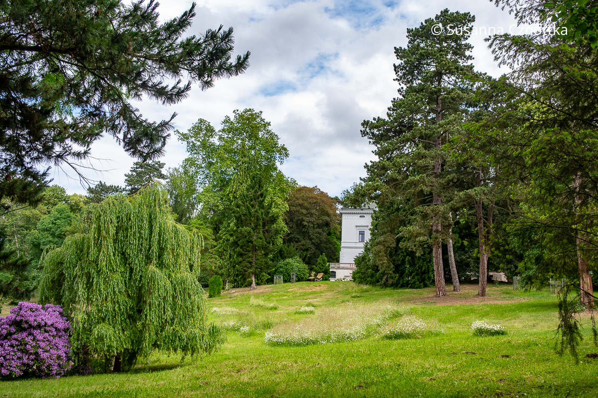 Blick in den Park Hohenrode in Nordhausen (Region Südharz/Kyffhäuser)