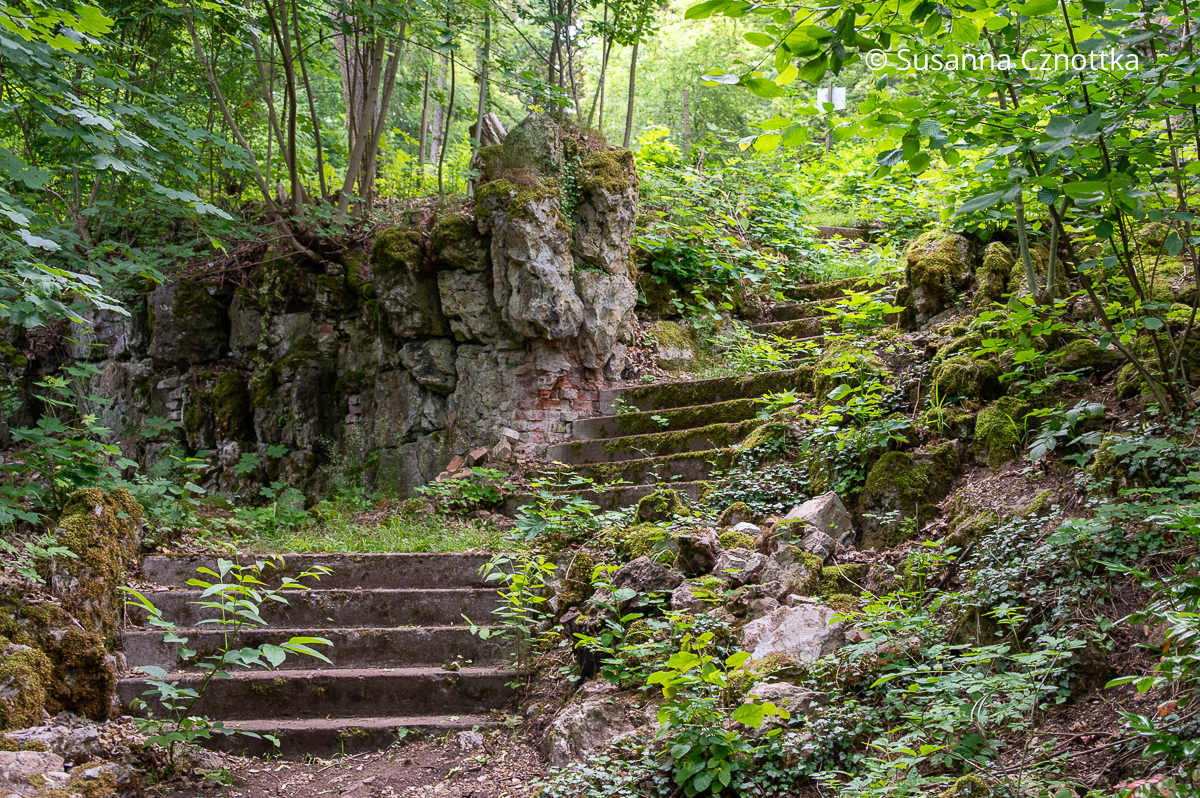 Verwunschener Winkel: eine alte Treppe im Park Hohenrode in Nordhausen