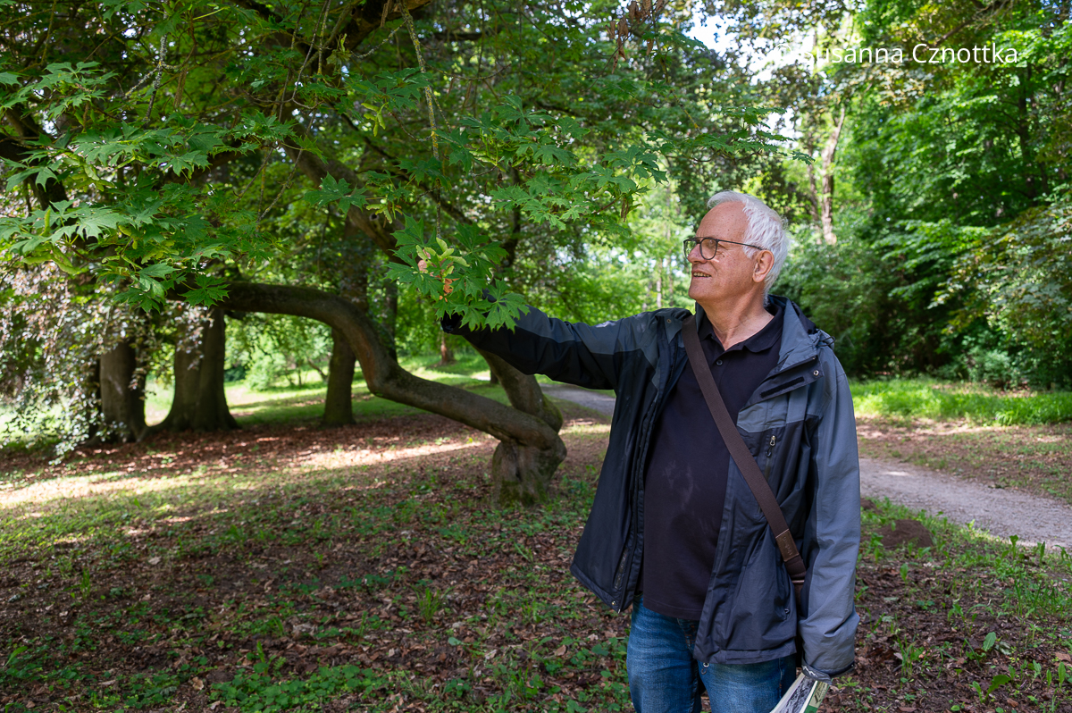 Ein Mann zeigt Blätter an einem Baum