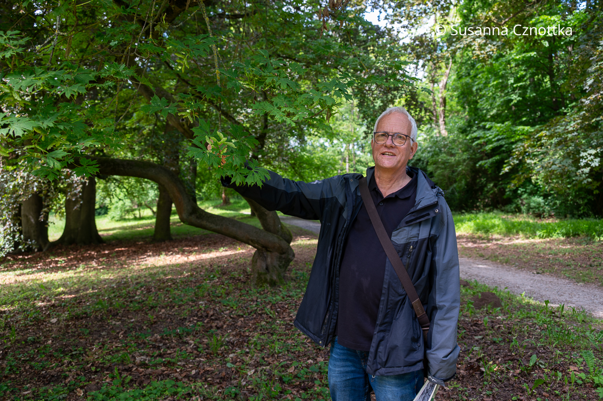 Der Vorsitzende des Fördervereins Park Hohenrode und Landschaftsarchitekt Matthias Bender zeigt einen besonderen Baum