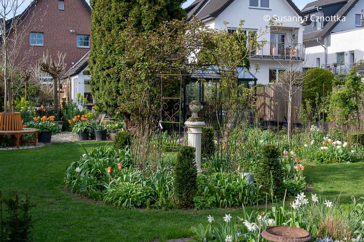 Garten Bergschneider: ein Rondell mit einem Rosenpavillon