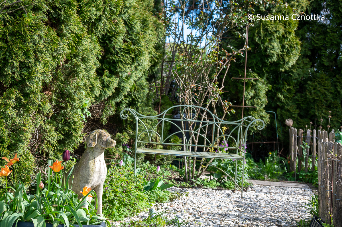 Gartendeko: steinerner Hund und romantische Bank