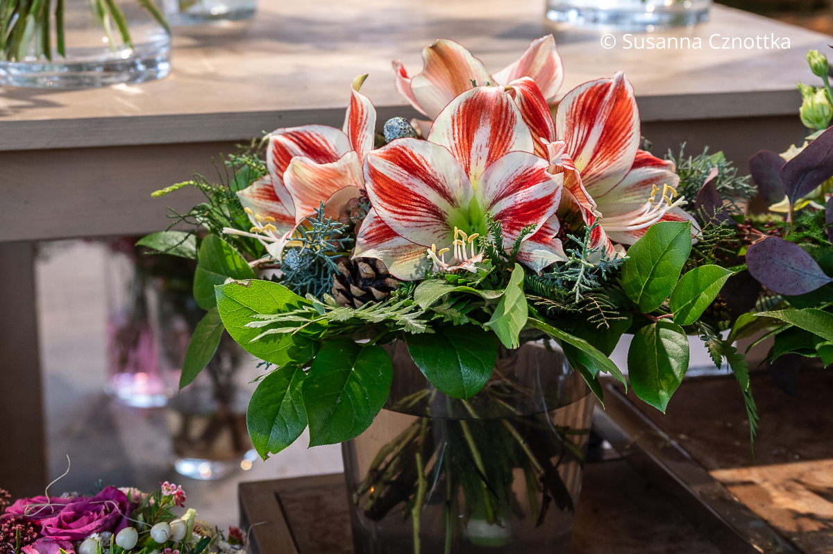 Weihnachtliches Sträußchen mit Ritterstern Weihnachtliches Sträußchen mit Amaryllis