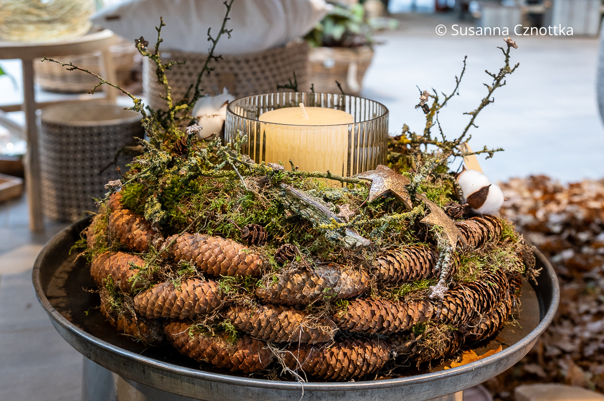 Adventskranz aus Fichtenzapfen, Moos und Zweigen mit Flechten mit einer dicken weißen Kerze in einem Windlicht in der Mitte