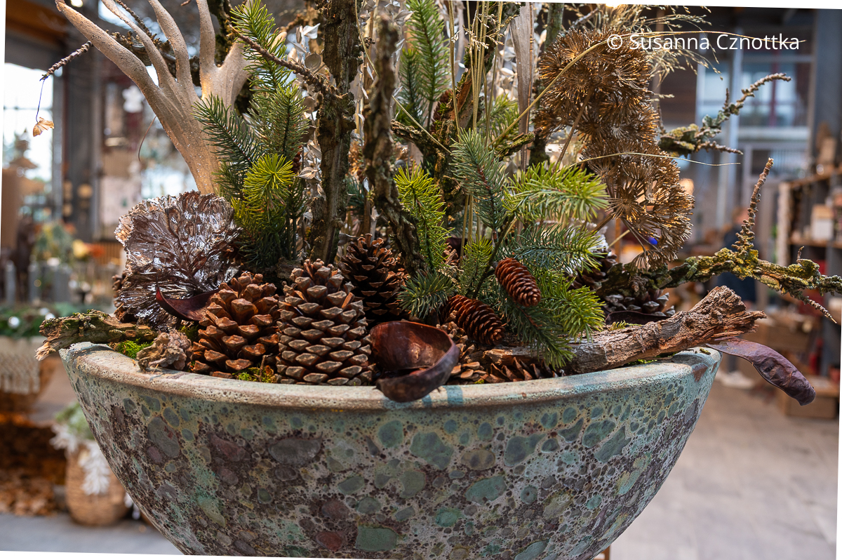 Detail eines Adventsgestecks mit Zapfen und Koniferengrün