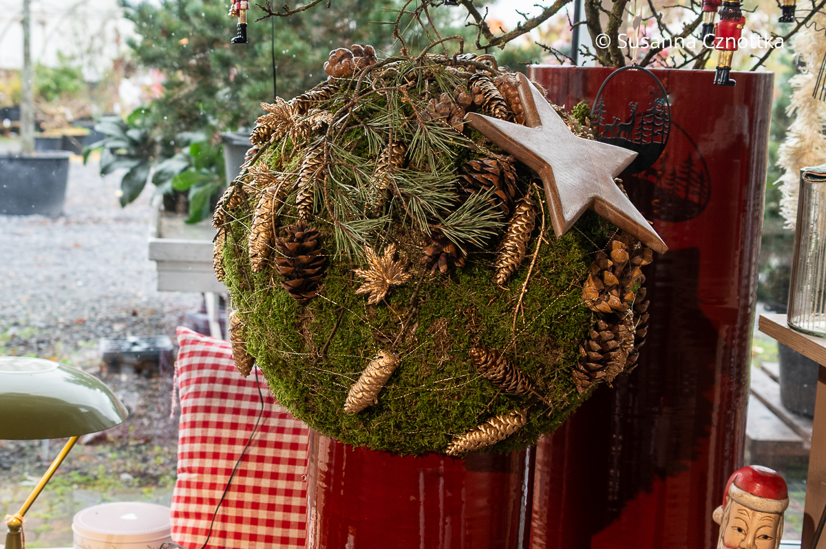 Weihnachtsdekoration ohne Kerzen: eine dicke Mooskugel mit Zapfen und einem Holzstern