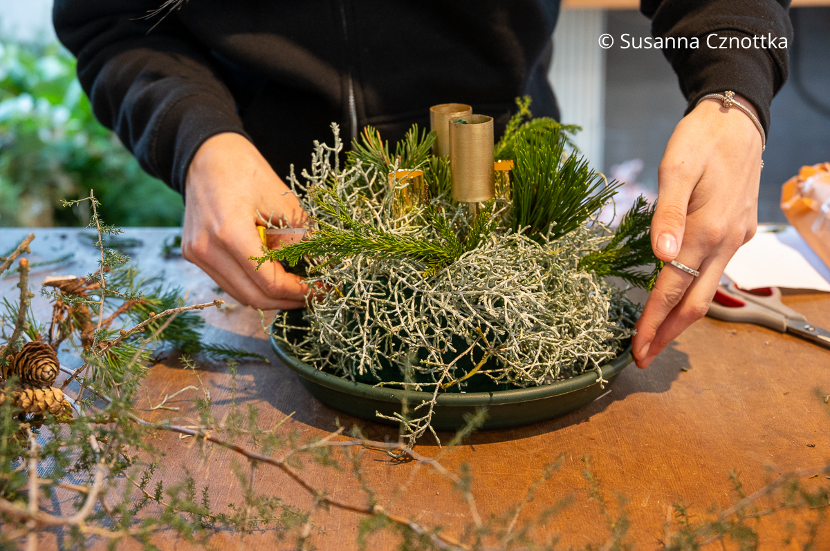 Ein Gesteck entsteht aus Steckschaum, Stacheldrahtpflanze und Koniferengrün