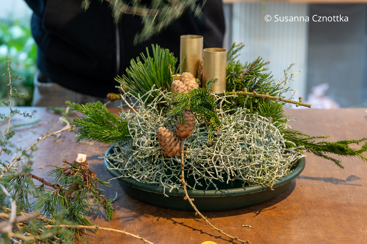 Ein Gesteck entsteht aus Steckschaum, Stacheldrahtpflanze und Koniferengrün