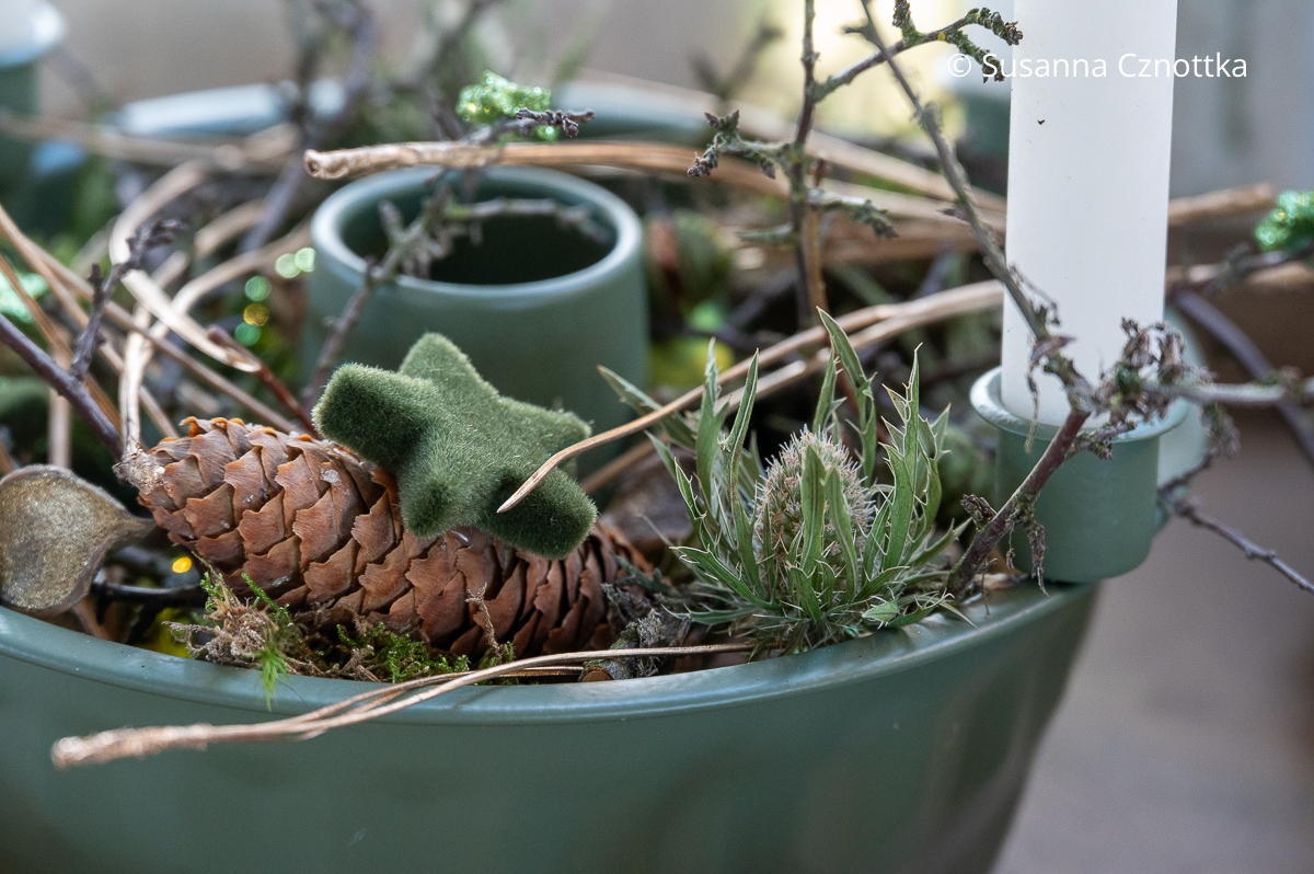 Detail eines Adventsgestecks in einer salbeigrünen Gugelhupfform mit Zapfen und grünem Stern