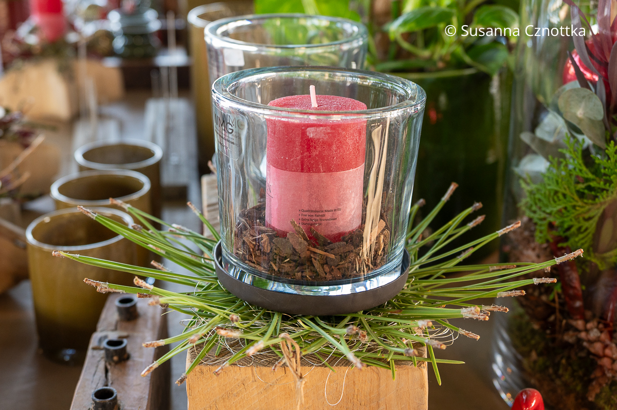 Ein schlichtes Windlicht mit einer dicken roten Kerze auf einem Stern aus Piniennadeln