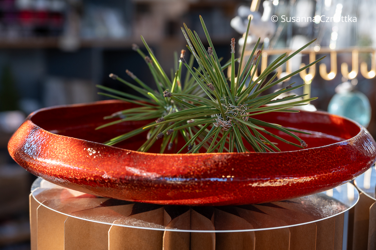 Fertige Sterne aus silbernem Draht und Piniennadeln in einer roten flachen Schale