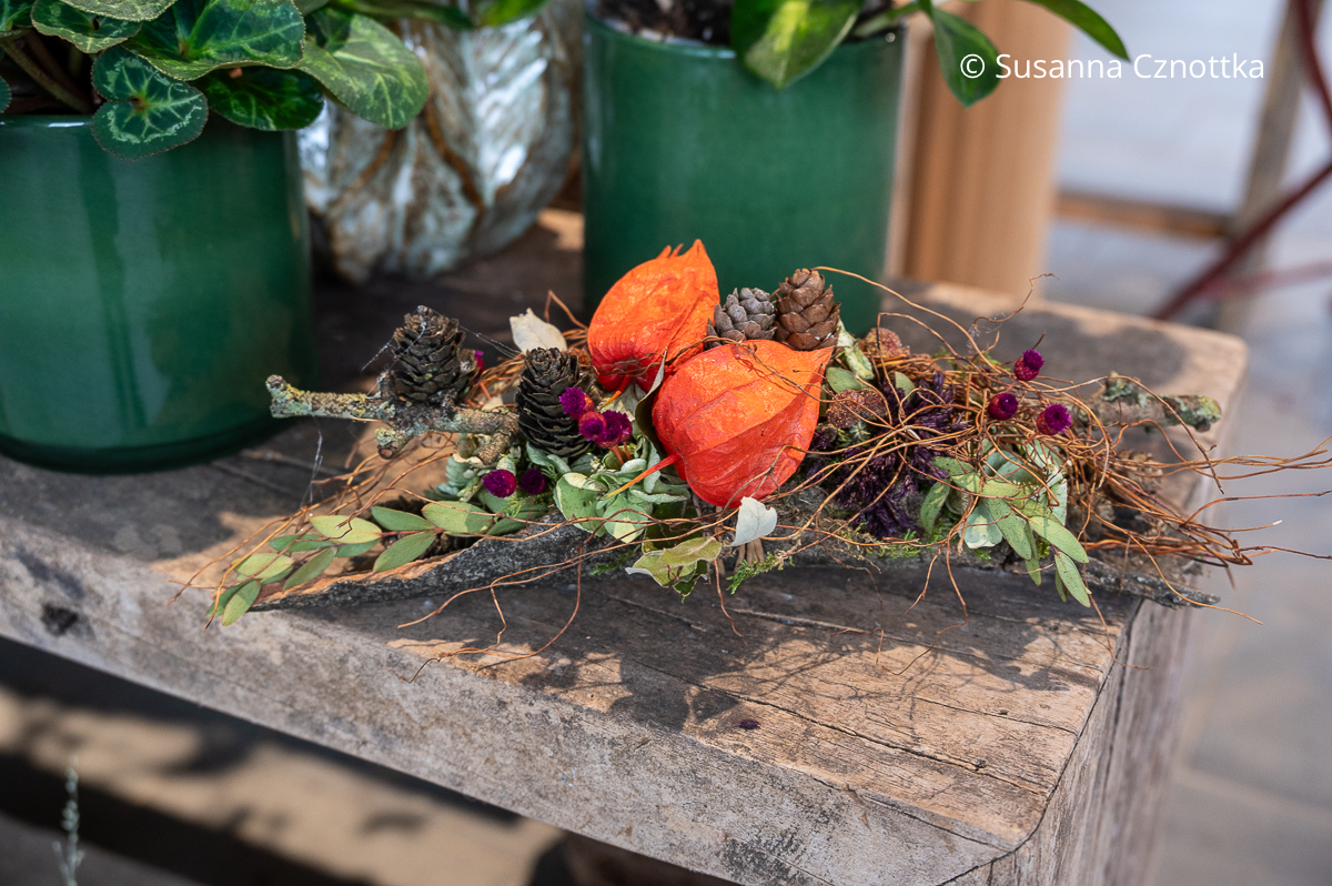 Kleines herbstliches Gesteck mit Lärchenzapfen und Physalisfrüchten in einem Stück Borke Kleines herbstliches Gesteck mit Lärchenzapfen und Physalisfrüchten in einem Stück Borke