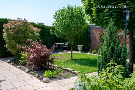 Ein kleiner Gartenraum mit Gehölzen und einem Sitzplatz Ein kleiner Gartenraum mit Gehölzen und einem Sitzplatz