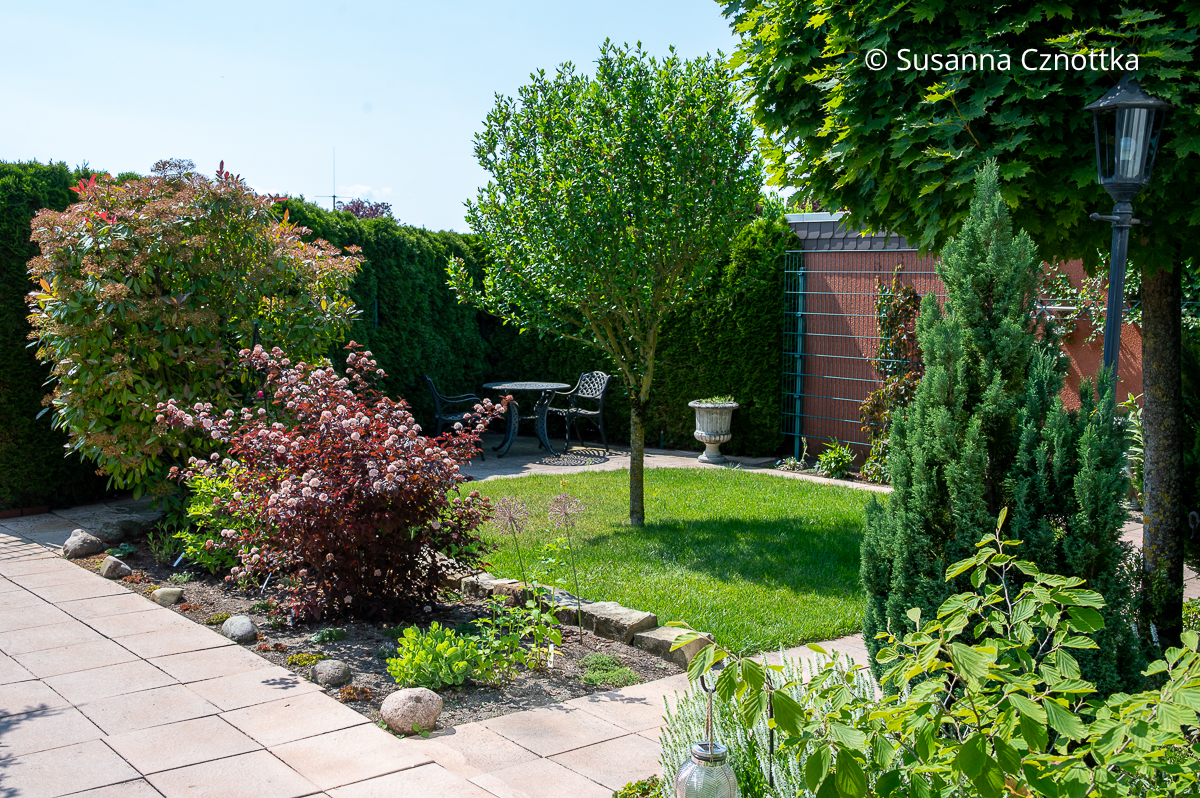 Ein kleiner Gartenraum mit Gehölzen und einem Sitzplatz Ein kleiner Gartenraum mit Gehölzen und einem Sitzplatz