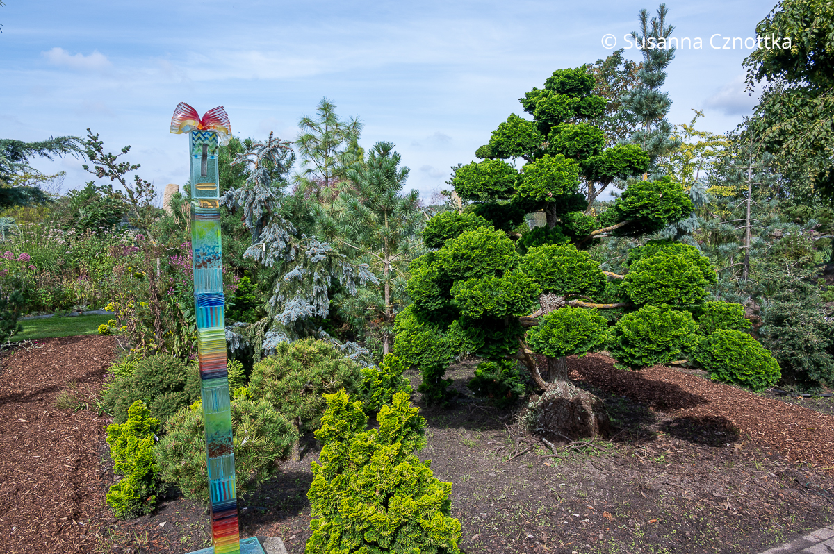 "Wächter": ein Glaskunstwerk für den Garten neben einer Muschelzypresse (Chamaecyparis obtusa) als Wolkenbaum