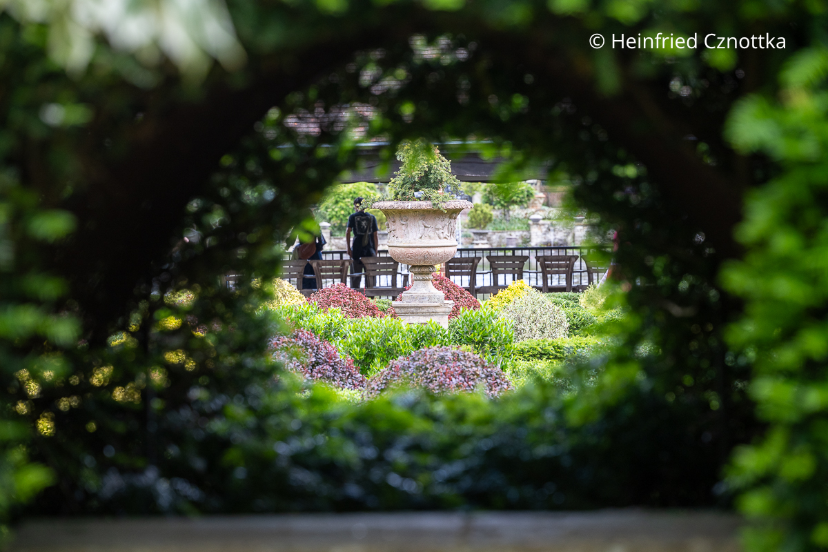 Sichtachse: Eine Öffnung in der Hecke erlaubt den Blick auf eine markante Vase.