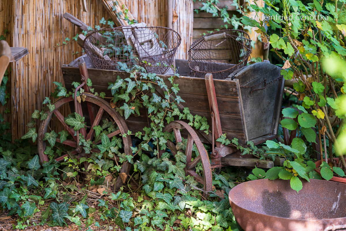 Nostalgisch: Alter Handwagen als Gartendeko