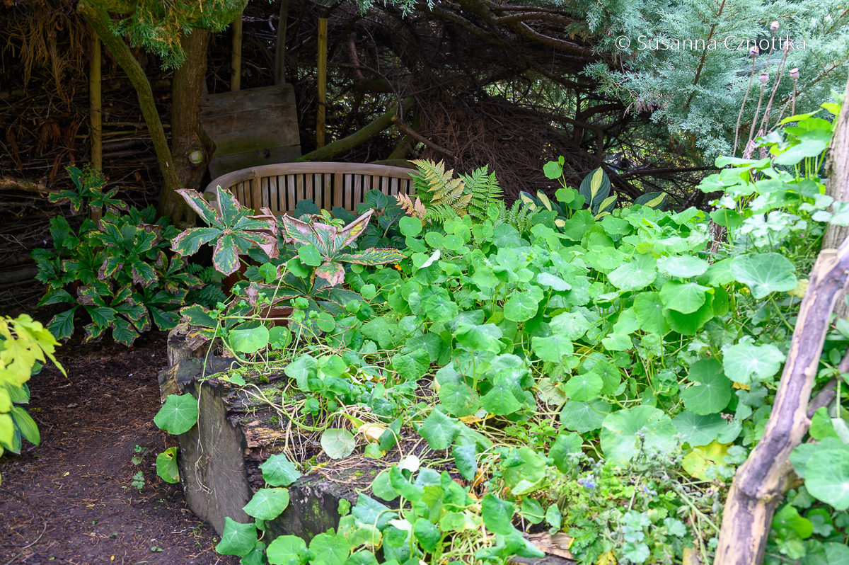 Naturnaher Garten: unaufgeräumte Ecke und Totholz