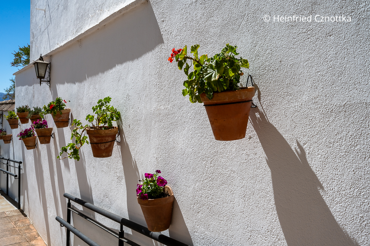 Typische Geranien in Töpfen schmücken eine weiße, verputzte Wand in Ronda, Andalusien Typische Geranien in Töpfen schmücken eine weiße, verputzte Wand in Ronda, Andalusien
