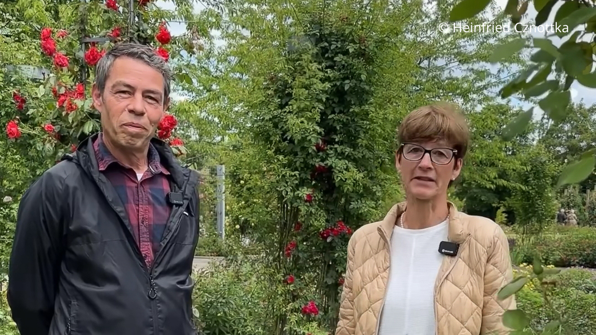 Andreas Lachner, Rosenführer im Rosarium Sangerhausen Ein Mann und eine Frau stehen vor blühenden roten Rosen