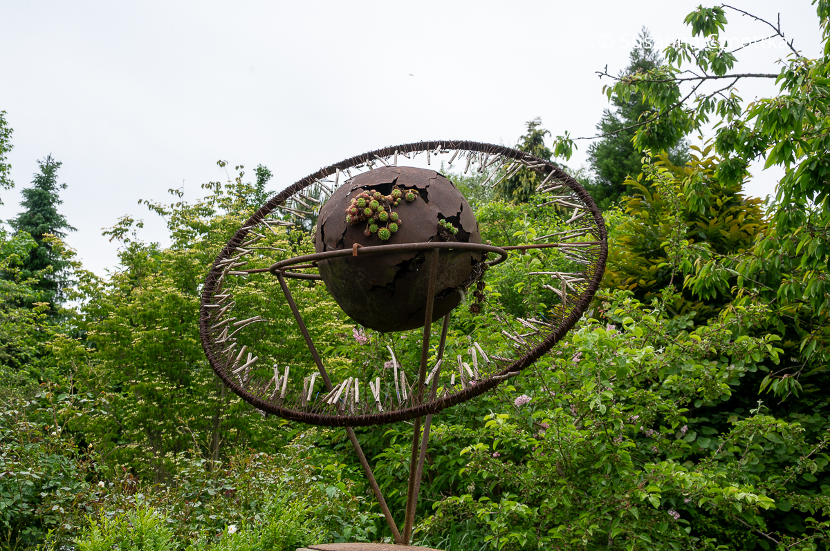 Ein dekoratives floristisches Objekt, mit Hauswurzen (Sempervivum) bepflanzt