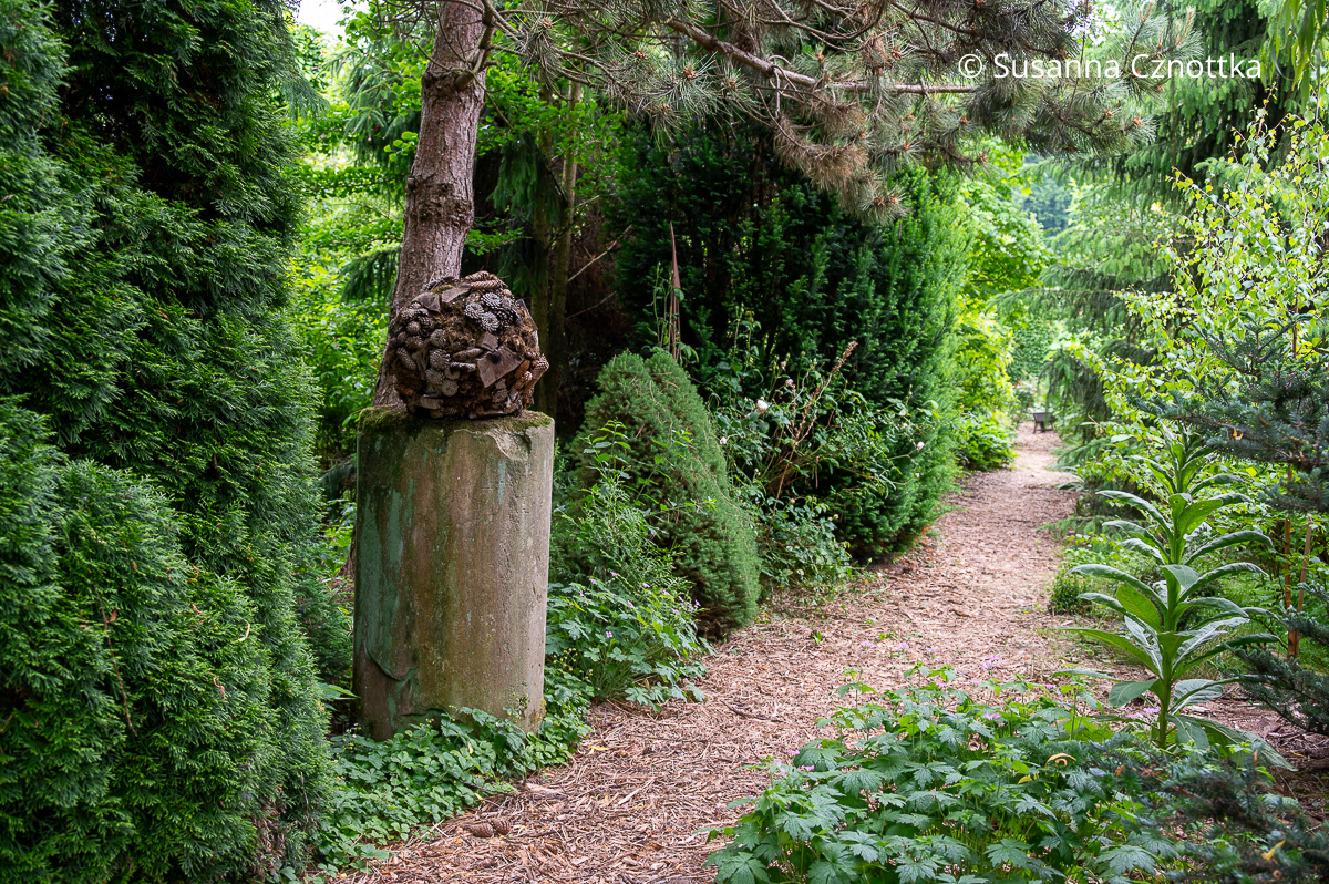 Ein floristisches Werkstück mit Zapfen und Holzstücken an einem Gartenweg