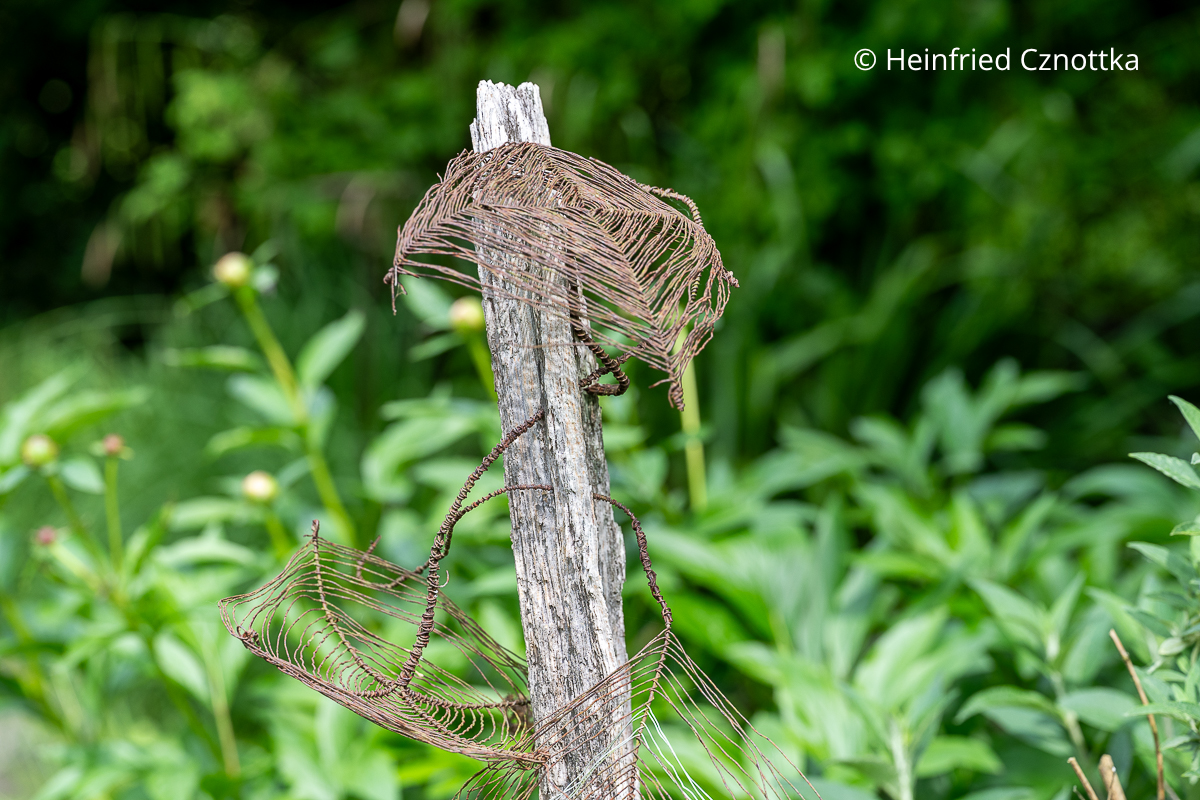Floristisches Werkstück: eine Arbeit aus feinem Draht