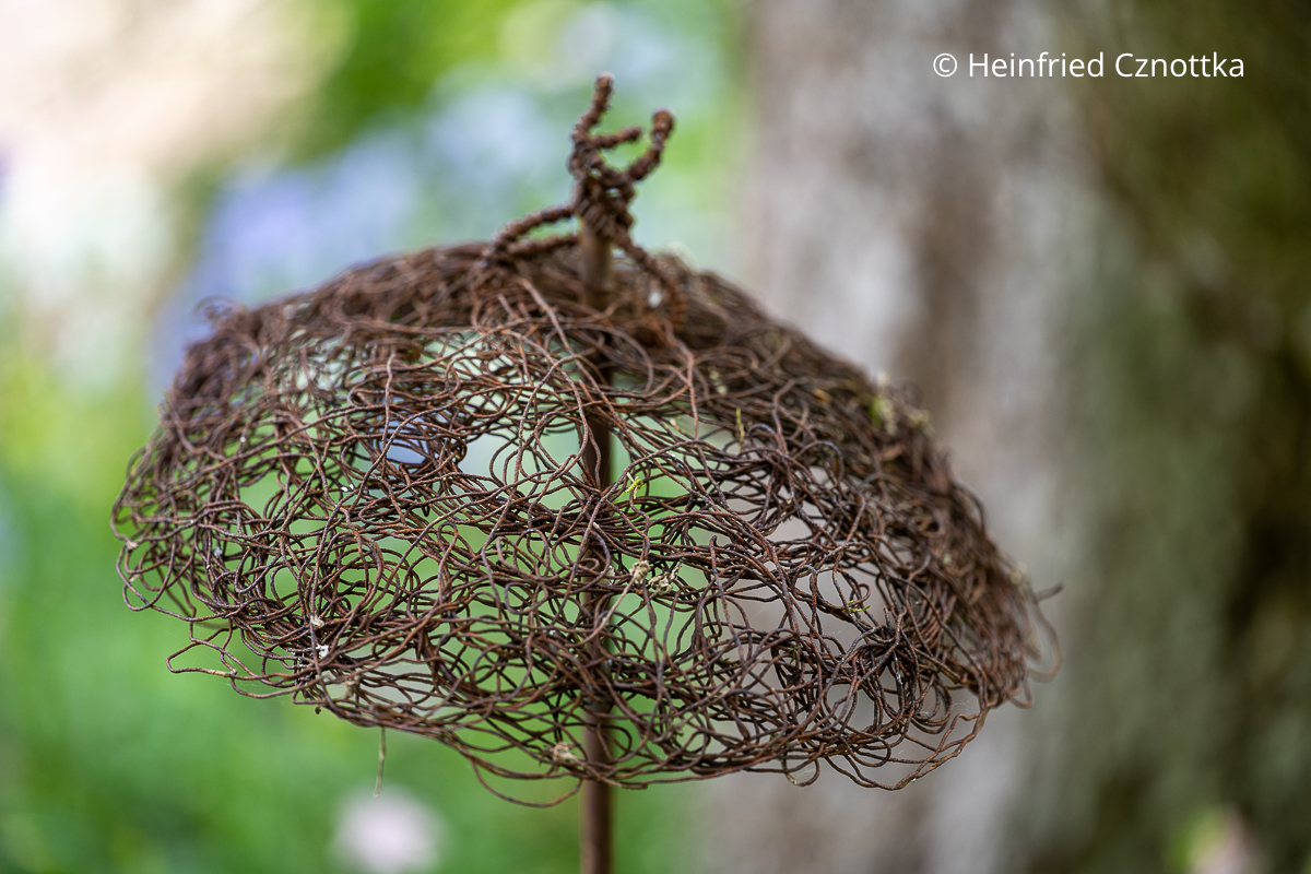 Floristik im Garten: ein filigranes Schirmchen aus Draht